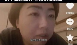 韩国卧底爆料视频,揭秘娱乐圈黑幕与权力斗争