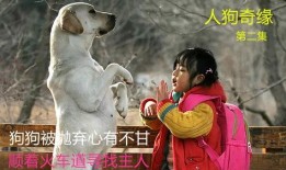 人狗奇缘在线观看,跨越物种的深情羁绊